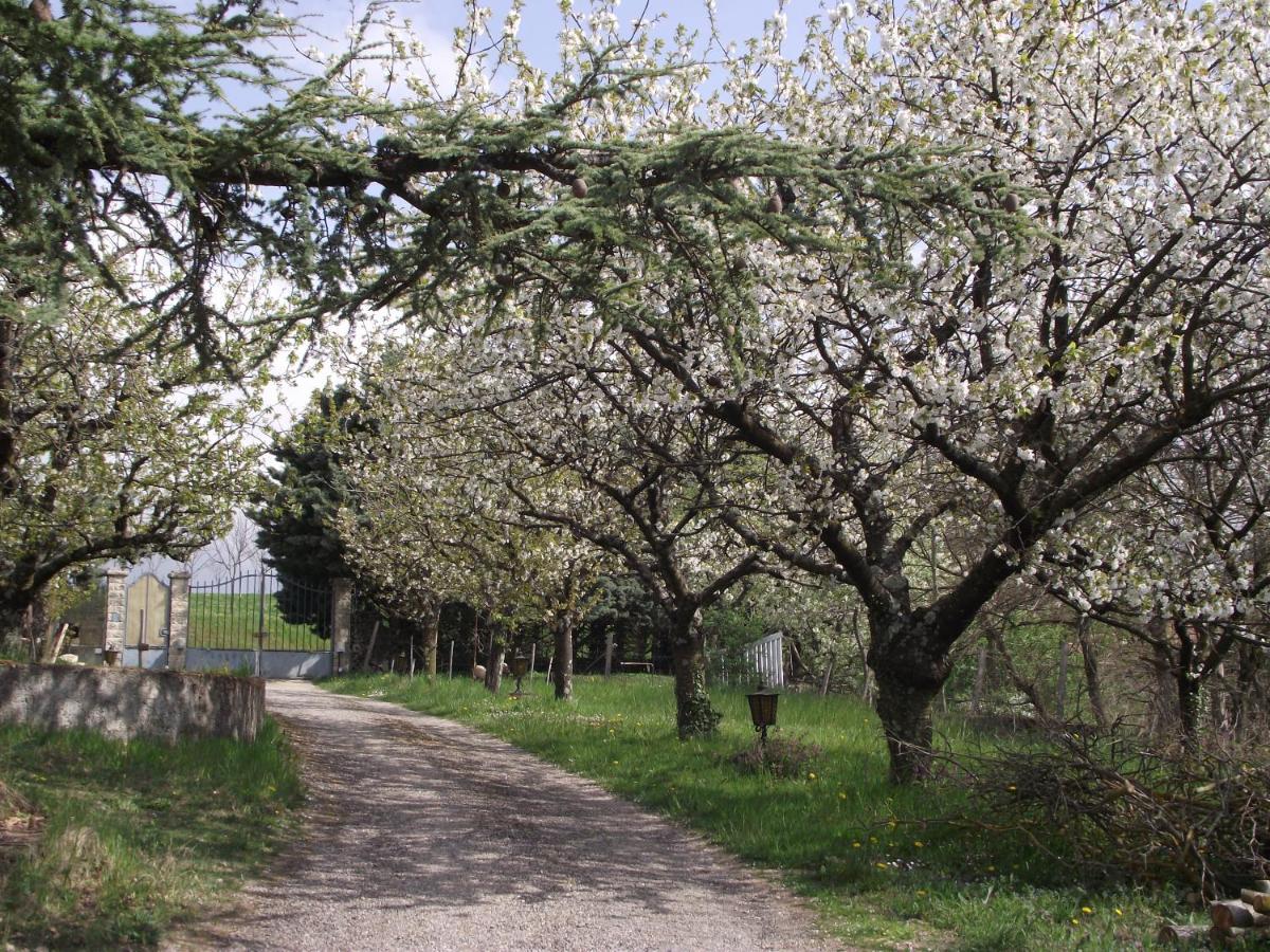 Domaine Des Cigales, Chambre D'Hotes Saint-Martin-d'Aout Luaran gambar